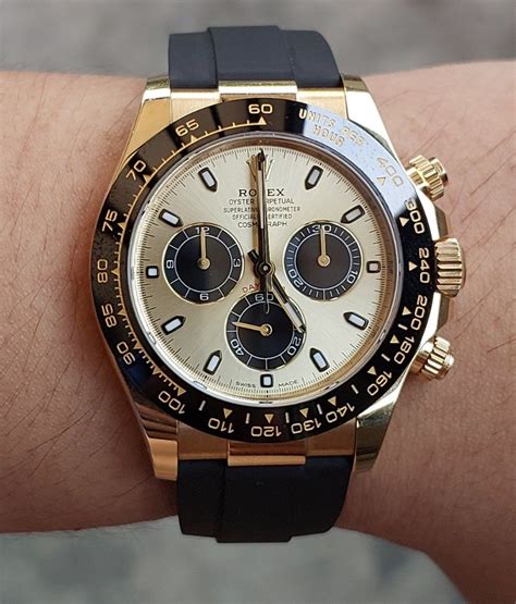 niki koopt rolex|2 out of Daytona, Aquanaut and Ro .